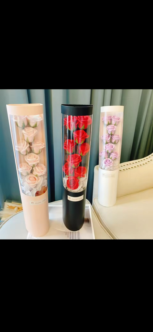 Roses Lumineuses en Tube Transparent