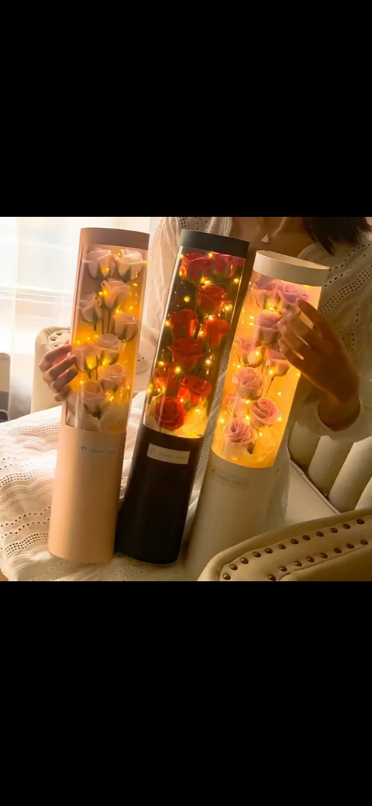 Roses Lumineuses en Tube Transparent